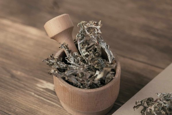 Comment se soigner avec des plantes médicinales ?