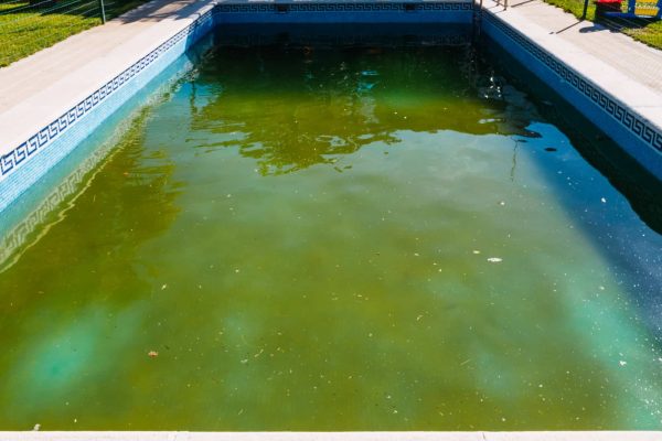 Quels sont les différences entre une mini piscine à coque et une piscine traditionnelle ?