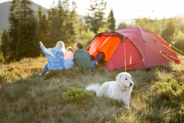 Quelles activités de plein air peut-on pratiquer au Camping du Lavedan ?